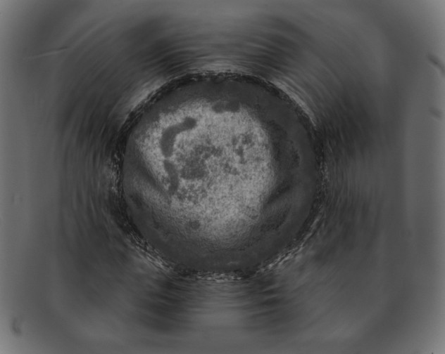 X0000091850823200709191054