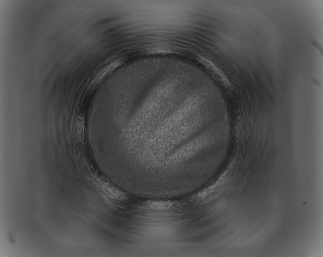 X0000091850825200709191054