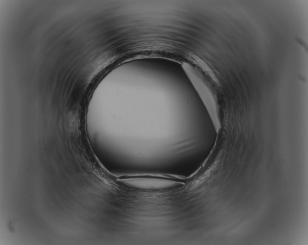 X0000091850826200709191054