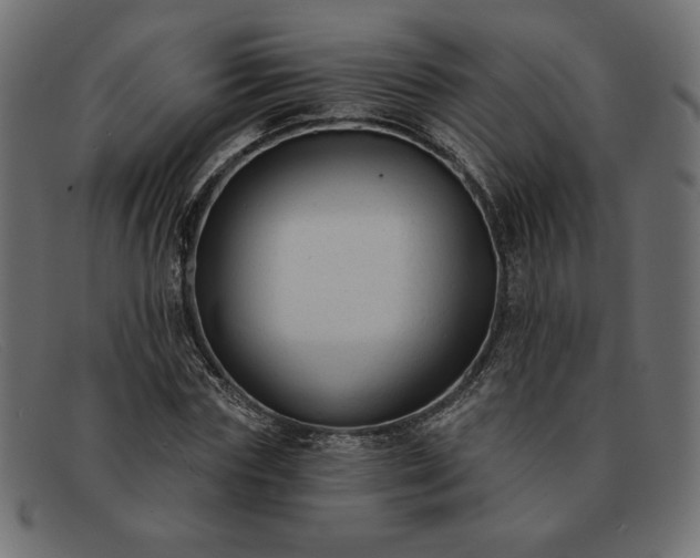 X0000091850827200709191054
