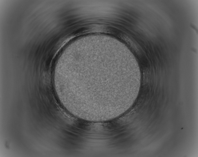 X0000091850828200709191054