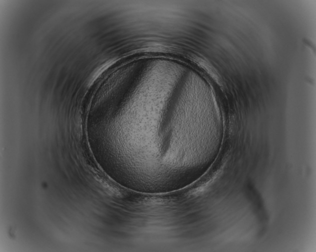 X0000091850829200709191054