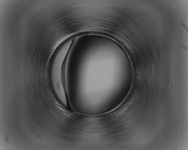 X0000091850830200709191054