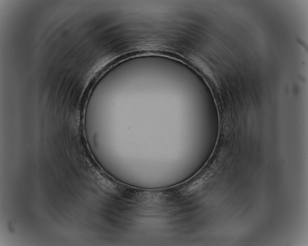 X0000091850831200709191054