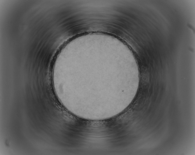 X0000091850832200709191054