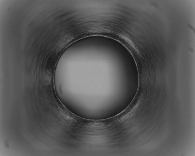 X0000091850833200709191054