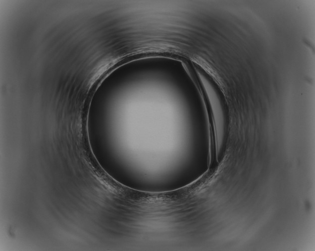 X0000091850834200709191054
