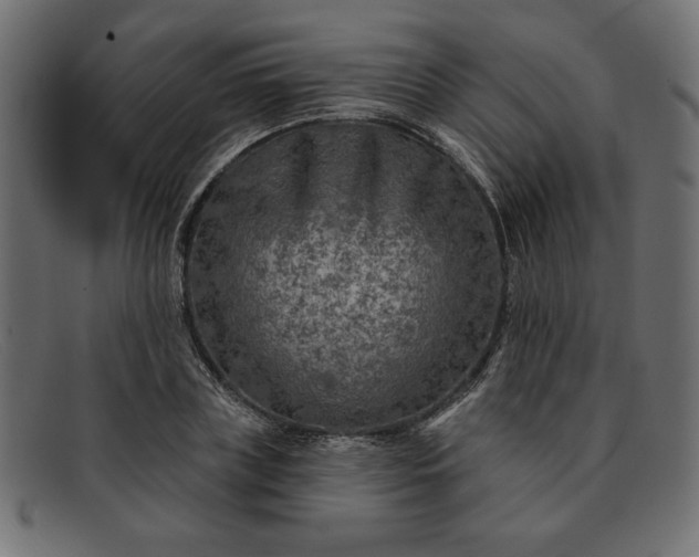 X0000091850835200709191054