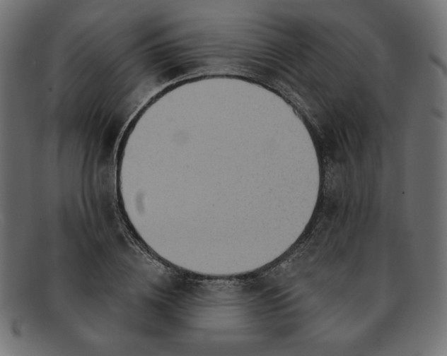 X0000091850836200709191054