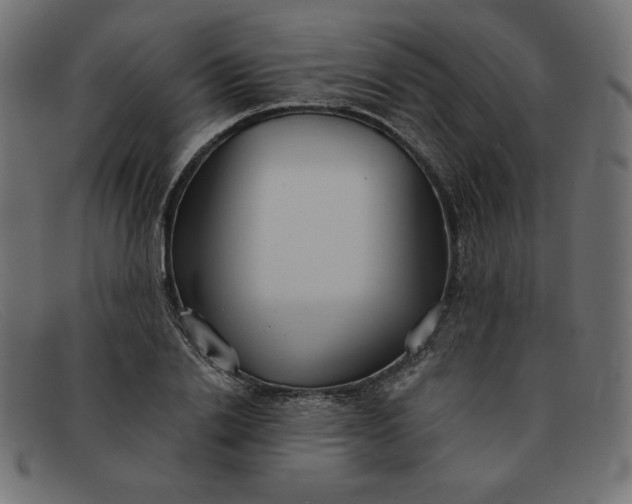 X0000091850838200709191055