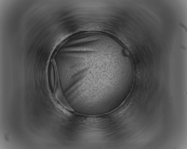 X0000091850840200709191055