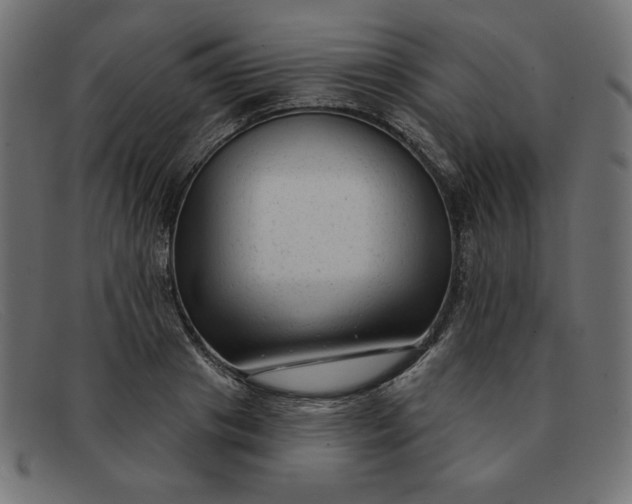 X0000091850841200709191055