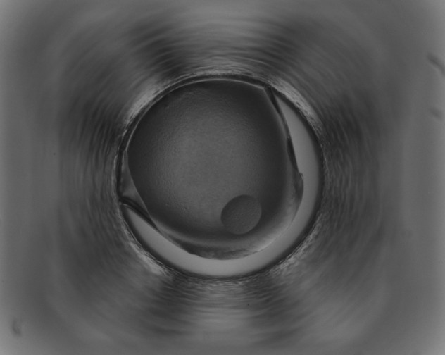 X0000091850842200709191055