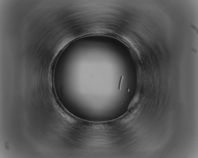 X0000091850843200709191055