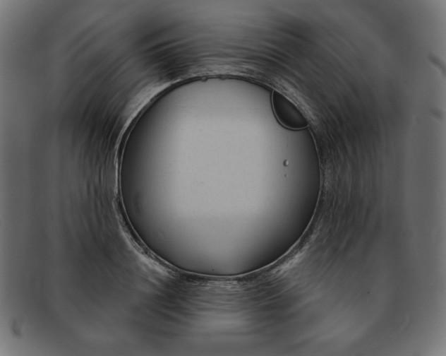 X0000091850844200709191055