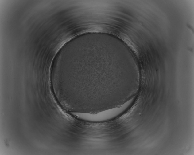 X0000091850845200709191055