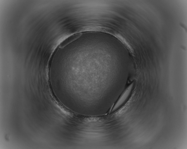 X0000091850846200709191055