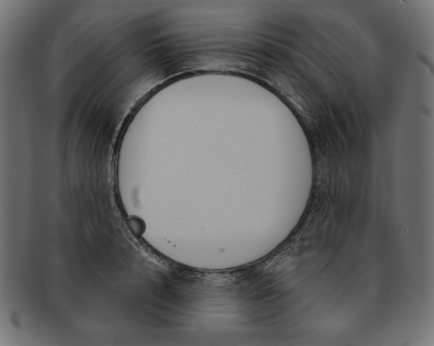 X0000091850848200709191055