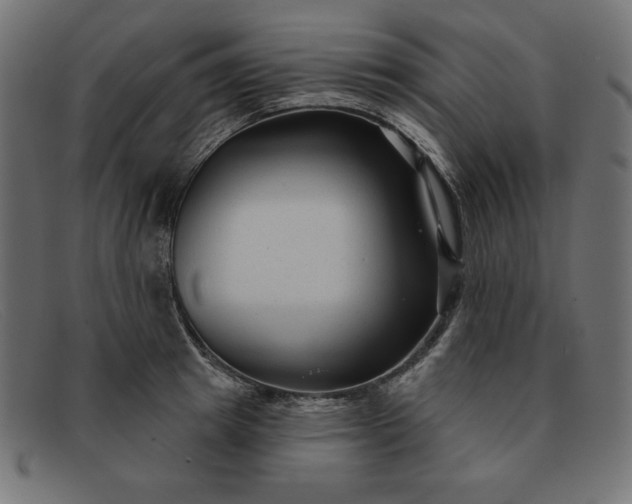 X0000091850849200709191055