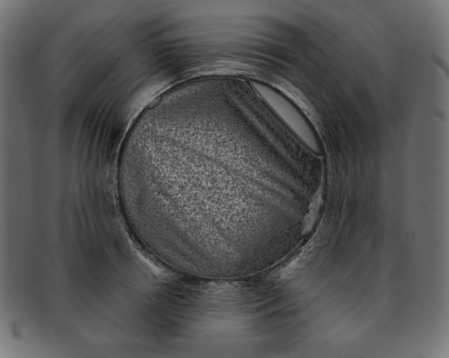 X0000091850850200709191055
