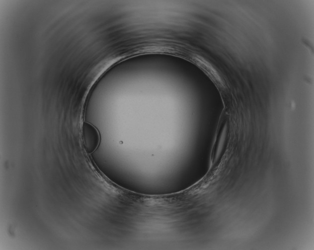 X0000091850852200709191055