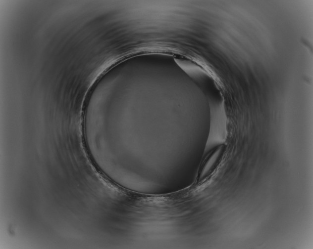 X0000091850853200709191055