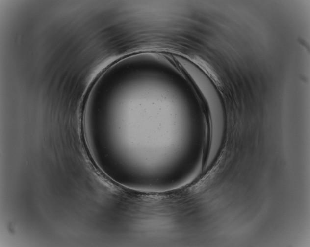 X0000091850854200709191055