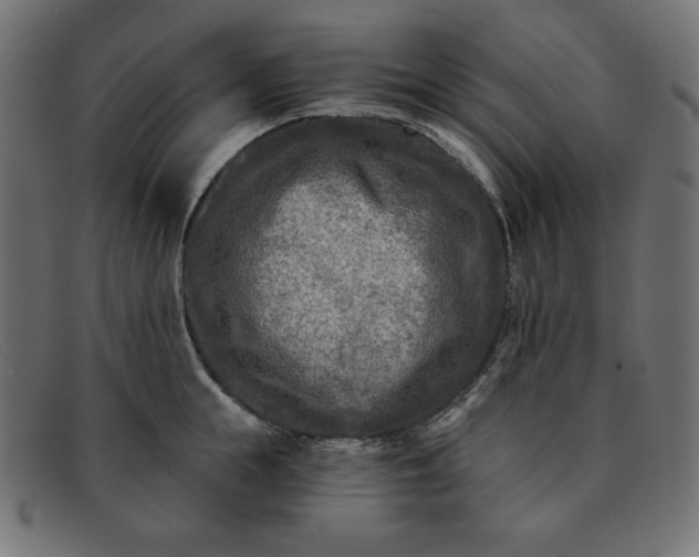X0000091850855200709191055