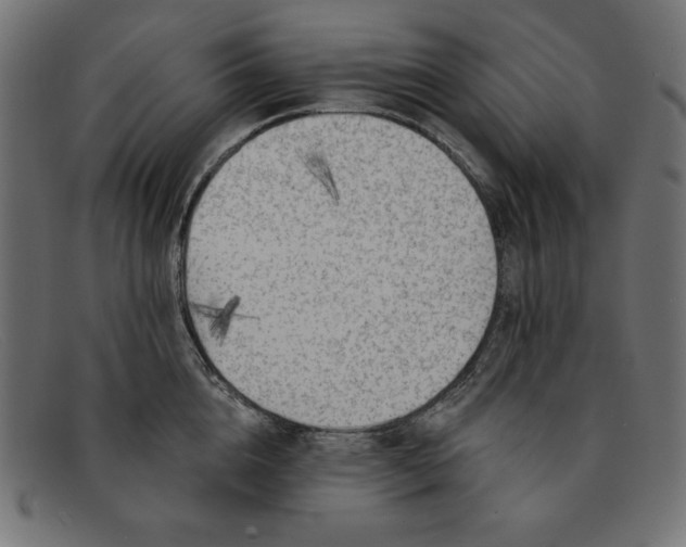 X0000091850856200709191055