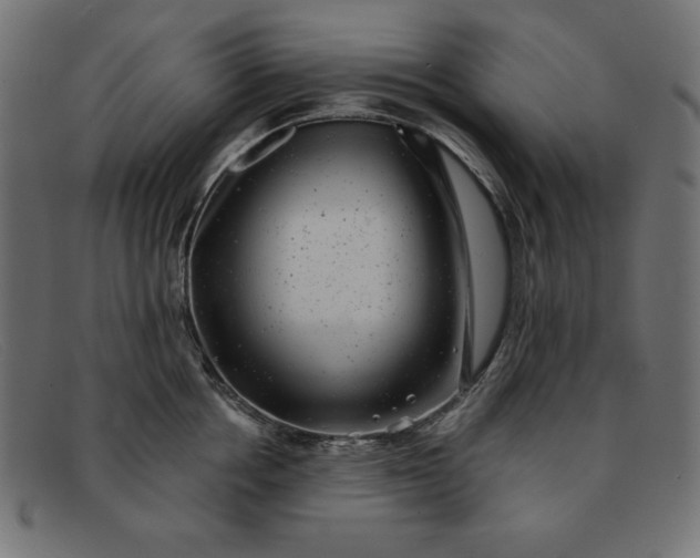 X0000091850858200709191055