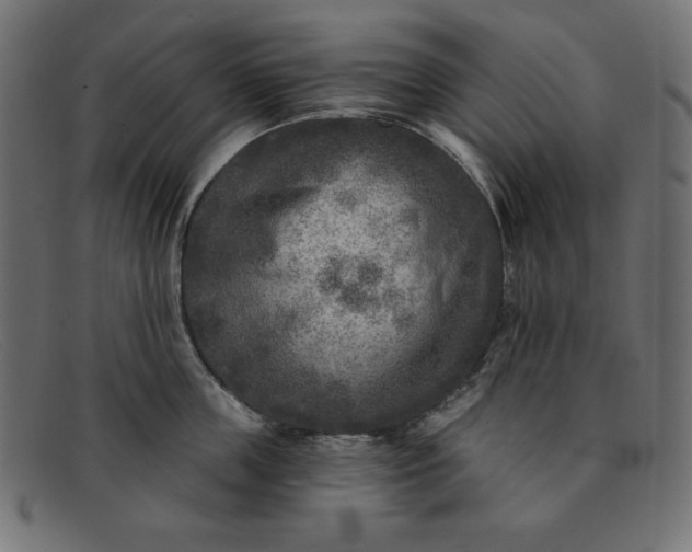 X0000091850859200709191055