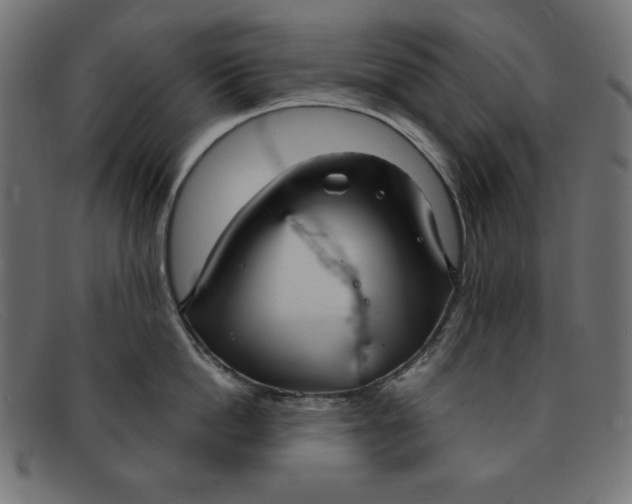 X0000091850862200709191055