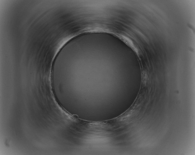 X0000091850863200709191055