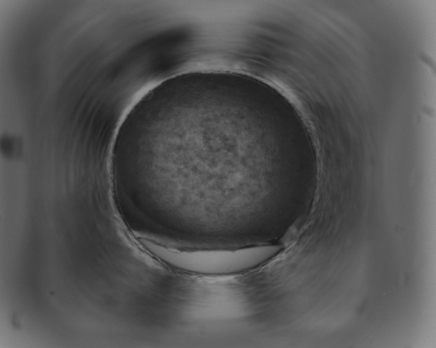 X0000091850864200709191055
