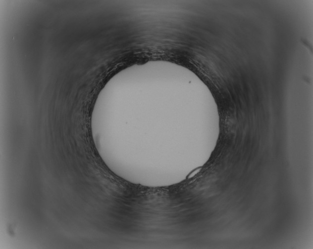 X0000091850865200709191054