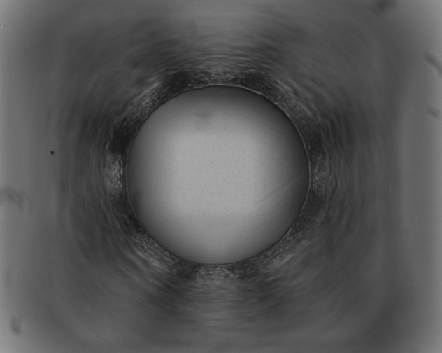 X0000091850866200709191054