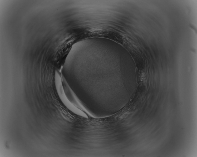 X0000091850868200709191054
