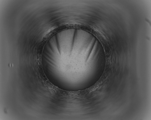 X0000091850870200709191054