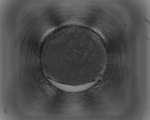 X0000091850872200709191054