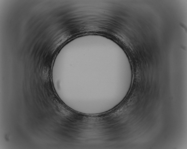 X0000091850873200709191054