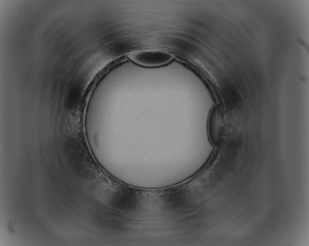 X0000091850875200709191054