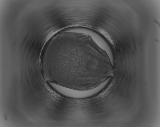 X0000091850876200709191054