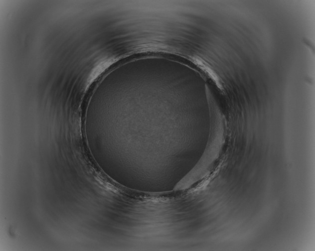 X0000091850877200709191054