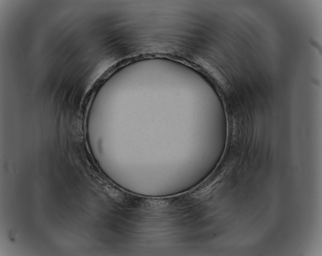 X0000091850878200709191054