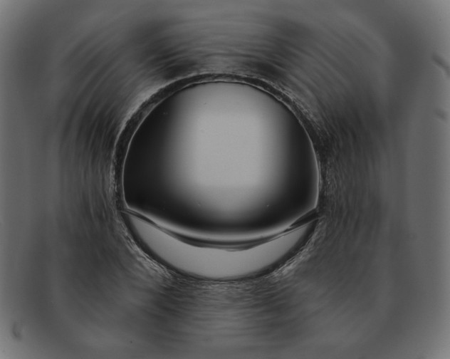 X0000091850880200709191054