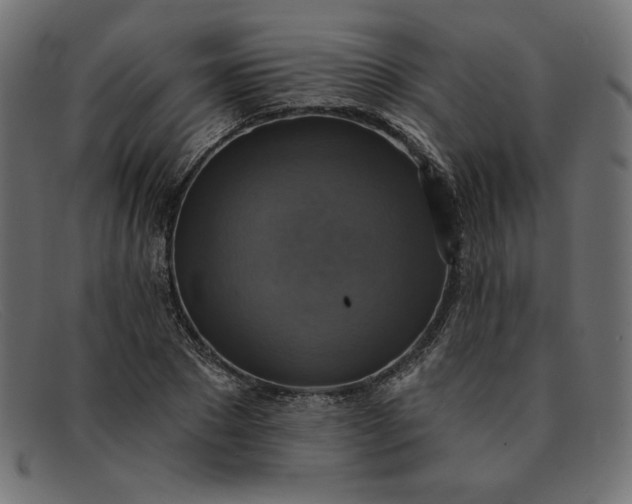 X0000091850881200709191054