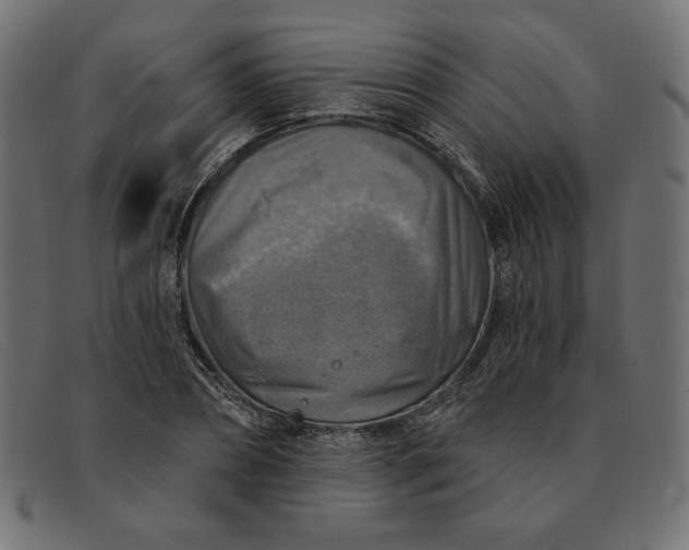 X0000091850882200709191054