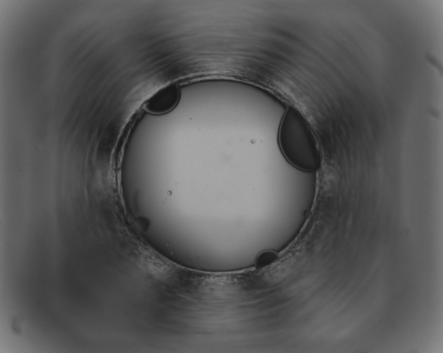 X0000091850883200709191054