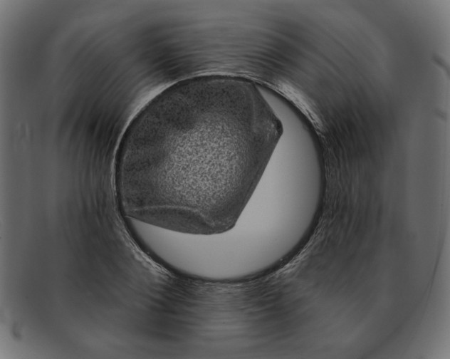 X0000091850884200709191054