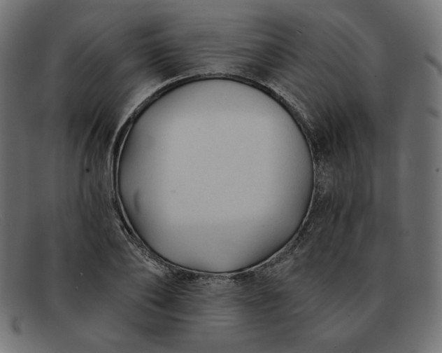 X0000091850886200709191054
